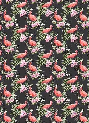 Rollo lichtundurchlässig Flamingos auf Pflanzen