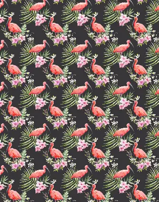 Rollo lichtundurchlässig Flamingos auf Pflanzen