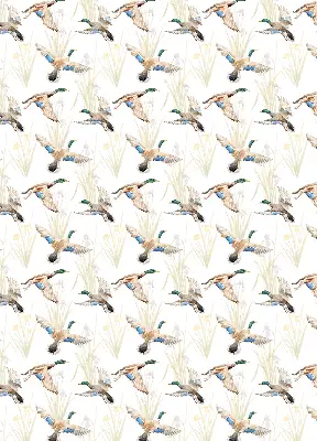 Verdunkelungsrollo Fliegende Enten