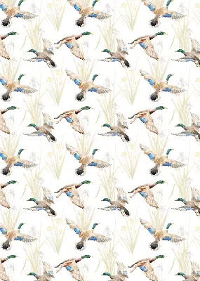 Verdunkelungsrollo Fliegende Enten