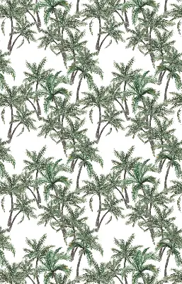 Verdunkelungsrollo Palmen