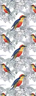 Rollo lichtundurchlässig Farbenfroher Vogel