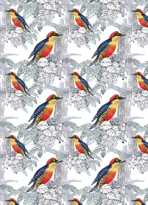 Rollo lichtundurchlässig Farbenfroher Vogel