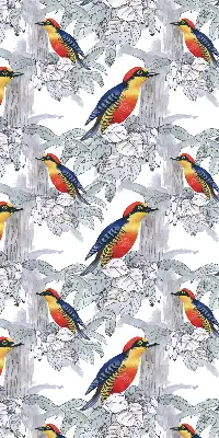 Rollo lichtundurchlässig Farbenfroher Vogel