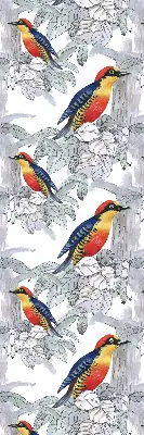 Rollo lichtundurchlässig Farbenfroher Vogel
