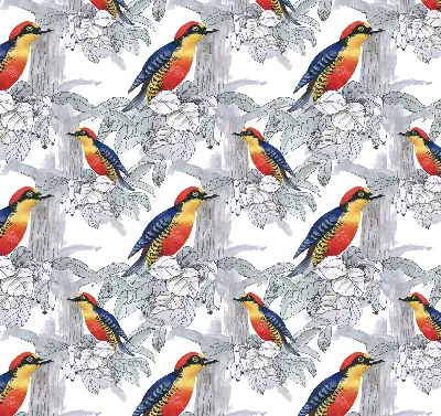 Rollo lichtundurchlässig Farbenfroher Vogel