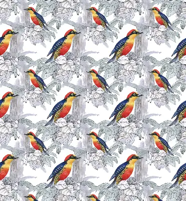 Rollo lichtundurchlässig Farbenfroher Vogel
