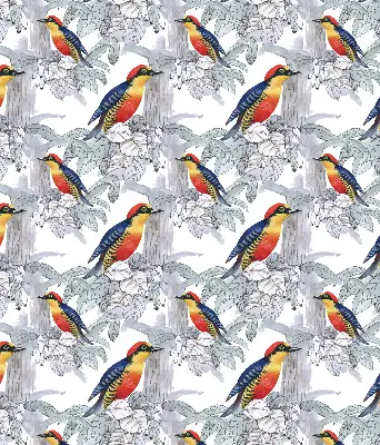 Rollo lichtundurchlässig Farbenfroher Vogel