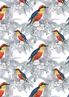 Rollo lichtundurchlässig Farbenfroher Vogel