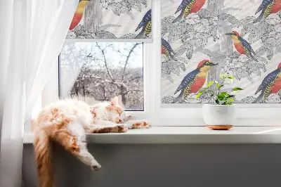 Rollo lichtundurchlässig Farbenfroher Vogel