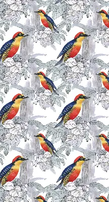 Rollo lichtundurchlässig Farbenfroher Vogel