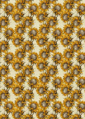 Rollo lichtundurchlässig Sonnenblume