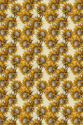 Rollo lichtundurchlässig Sonnenblume
