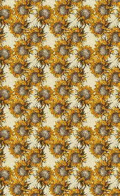 Rollo lichtundurchlässig Sonnenblume