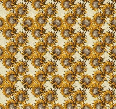 Rollo lichtundurchlässig Sonnenblume