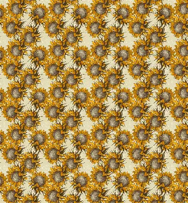 Rollo lichtundurchlässig Sonnenblume