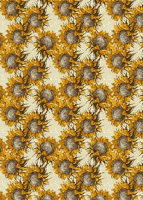 Rollo lichtundurchlässig Sonnenblume