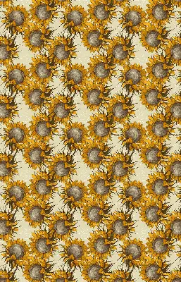 Rollo lichtundurchlässig Sonnenblume