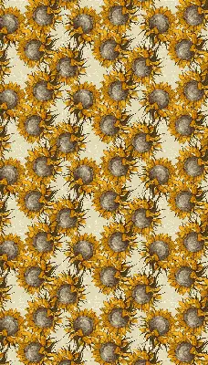 Rollo lichtundurchlässig Sonnenblume