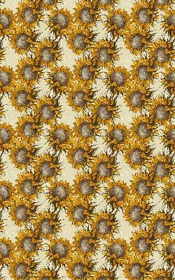 Rollo lichtundurchlässig Sonnenblume