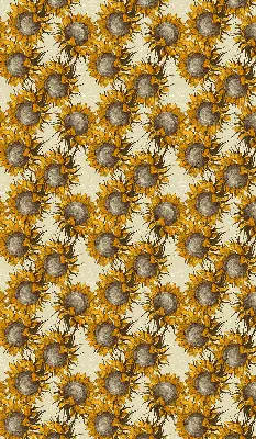 Rollo lichtundurchlässig Sonnenblume