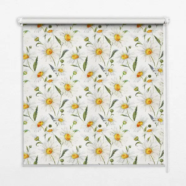 Fenster rollo Gänseblümchen