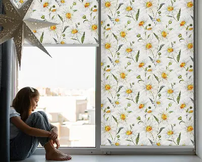 Fenster rollo Gänseblümchen
