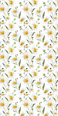 Fenster rollo Gänseblümchen