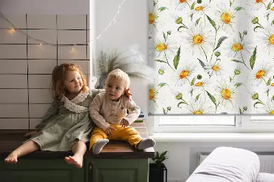 Fenster rollo Gänseblümchen