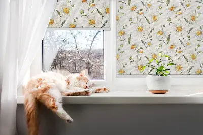 Fenster rollo Gänseblümchen