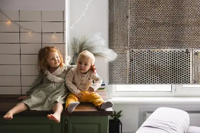 Fenster rollo Metallwand