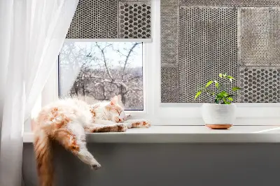 Fenster rollo Metallwand
