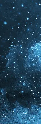 Verdunkelungsrollo Kosmos