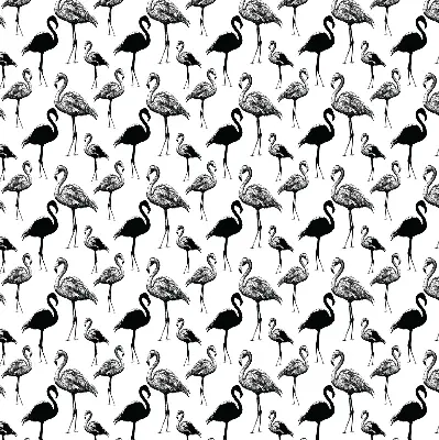 Rollo lichtundurchlässig Schwarze Flamingos