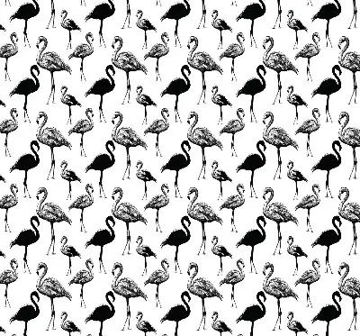 Rollo lichtundurchlässig Schwarze Flamingos