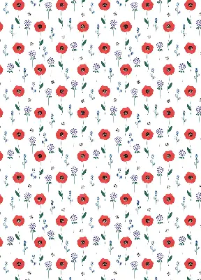 Verdunkelungsrollo Mohnblumen