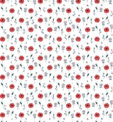 Verdunkelungsrollo Mohnblumen