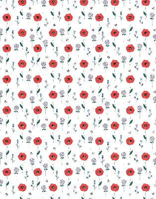 Verdunkelungsrollo Mohnblumen