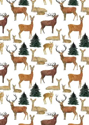 Fenster rollo Hirsche und Rehe