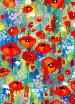 Rollo lichtundurchlässig Mohnblumenwiese