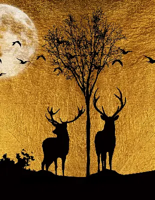 Fenster rollo Hirsche bei Nacht