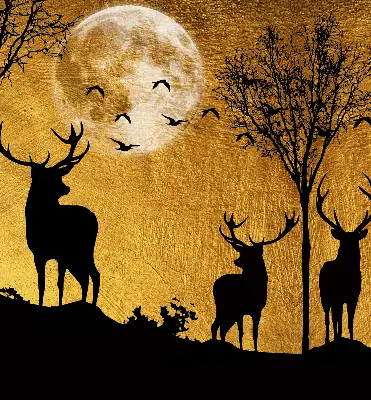 Fenster rollo Hirsche bei Nacht