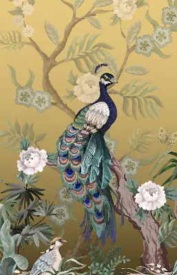 Rollo lichtundurchlässig Pfau auf einem Baum