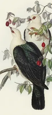 Rollo lichtundurchlässig Vögel auf einem Ast