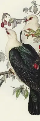 Rollo lichtundurchlässig Vögel auf einem Ast
