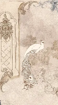 Fenster rollo Vintage-Vögel