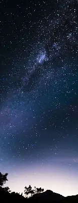 Verdunkelungsrollo Sternenhimmel