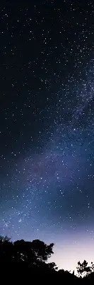 Verdunkelungsrollo Sternenhimmel