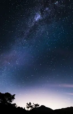Verdunkelungsrollo Sternenhimmel