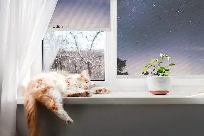 Verdunkelungsrollo Sternenhimmel